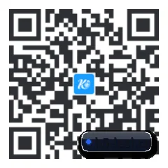 系统版 iOS 二维码